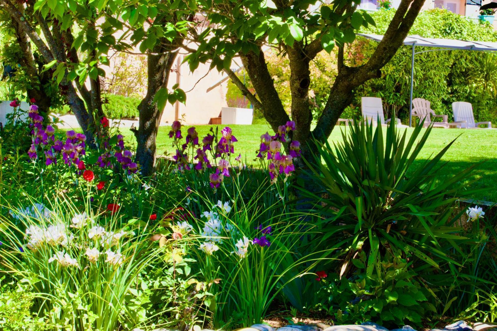 La Bastide Des Roses Bed & Breakfast Saint-Julien-d'Asse Exterior photo